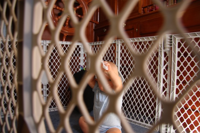 Cage